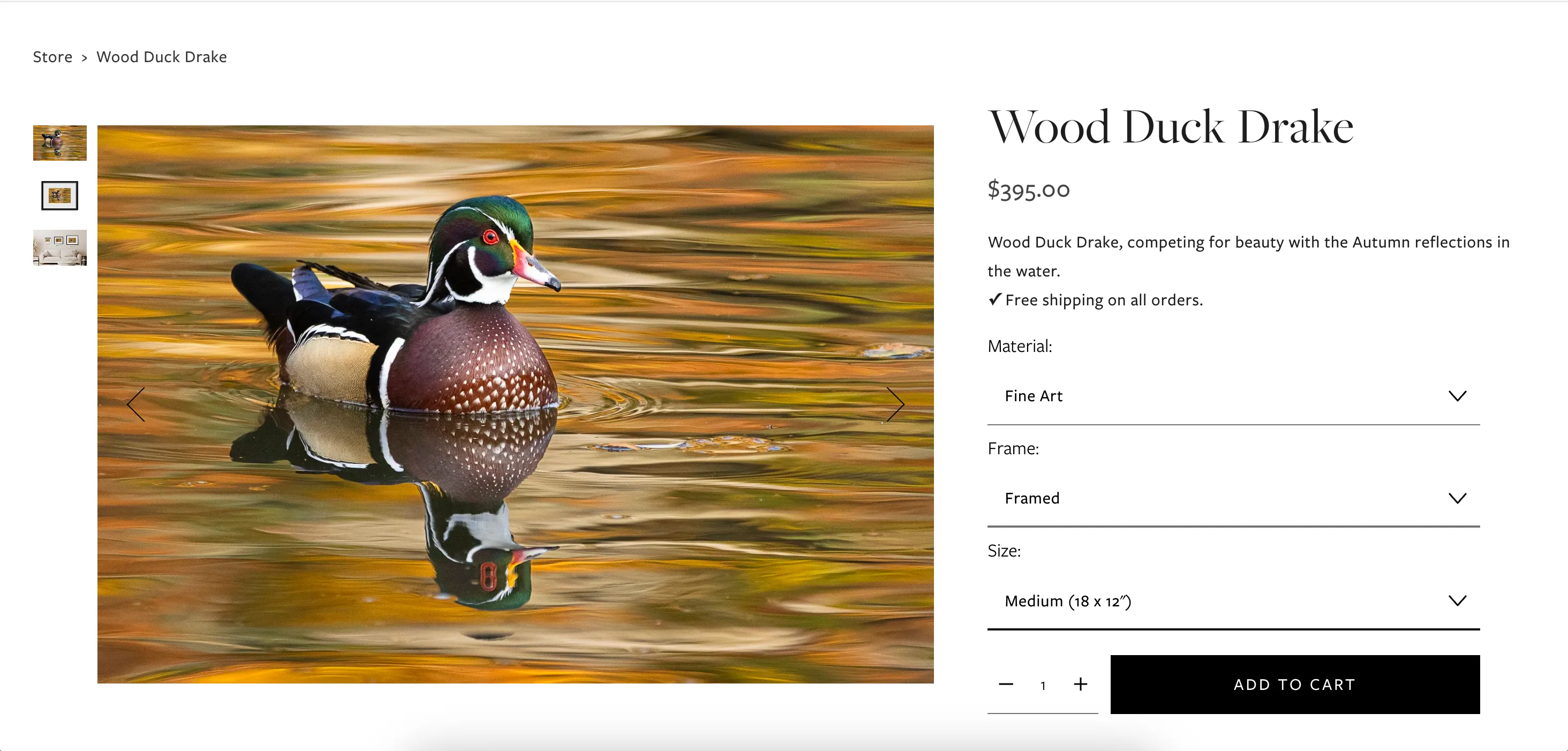 Product page with image carousel, variant selectors for material, frame, and size